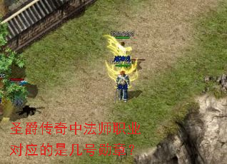 圣爵传奇中法师职业对应的是几号勋章? 圣爵传奇中法师职业对应的是几号勋章?