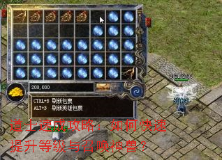道士速成攻略:如何快速提升等级与召唤神兽? 道士速成攻略:如何快速提升等级与召唤神兽?