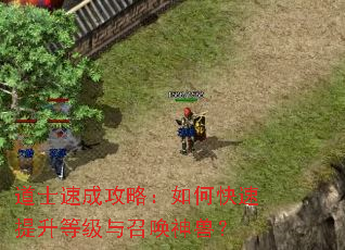 道士速成攻略:如何快速提升等级与召唤神兽? 道士速成攻略:如何快速提升等级与召唤神兽?