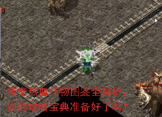 传奇热血怪物图鉴全解析,你的攻略宝典准备好了吗? 传奇热血怪物图鉴全解析,你的攻略宝典准备好了吗?