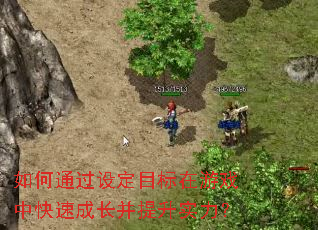 ���ͨ���趨Ŀ������Ϸ�п��ٳɳ�������ʵ����