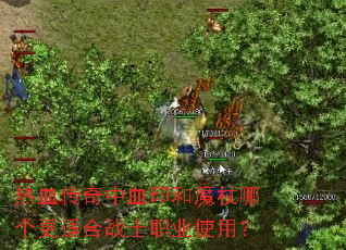 ��Ѫ������Ѫӡ��ħ���ĸ����ʺ�սʿְҵʹ�ã�