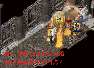 ������Щ����Ҳ�ܵ�������װ������ָ�㣿