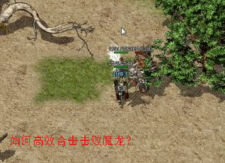 如何高效合击击败魔龙? 如何高效合击击败魔龙?