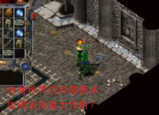 传奇世界法师兽灵术如何发挥最大作用? 传奇世界法师兽灵术如何发挥最大作用?