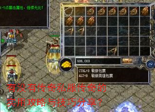 有没有传奇私服传奇的实用攻略与技巧分享? 有没有传奇私服传奇的实用攻略与技巧分享?