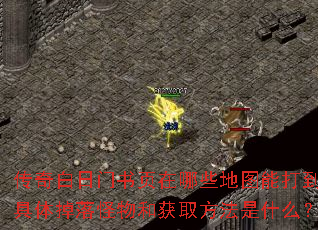 传奇白日门书页在哪些地图能打到?具体掉落怪物和获取方法是什么? 传奇白日门书页在哪些地图能打到?具体掉落怪物和获取方法是什么?