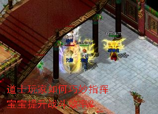 道士玩家如何巧妙指挥宝宝提升战斗效率? 道士玩家如何巧妙指挥宝宝提升战斗效率?
