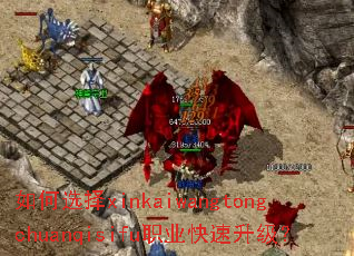 如何选择xinkaiwangtongchuanqisifu职业快速升级? 如何选择xinkaiwangtongchuanqisifu职业快速升级?