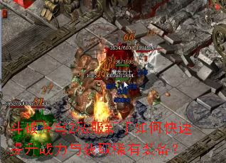 斗破苍穹2私服新手如何快速提升战力与获取稀有装备? 斗破苍穹2私服新手如何快速提升战力与获取稀有装备?