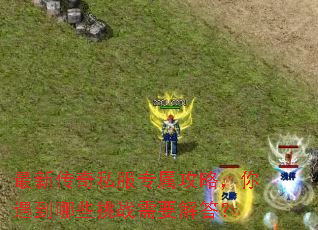 ���´���˽��ר�����ԣ���������Щ��ս��Ҫ���