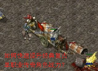 ��ο����������临�ŵ�ְҵ�����ɫս����