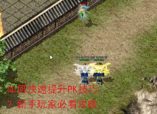 如何快速提升PK技巧?新手玩家必看攻略 如何快速提升PK技巧?新手玩家必看攻略