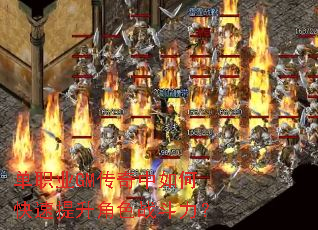 ��ְҵGM��������ο���������ɫս������