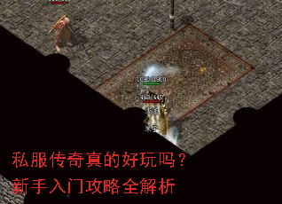 私服传奇真的好玩吗?新手入门攻略全解析 私服传奇真的好玩吗?新手入门攻略全解析