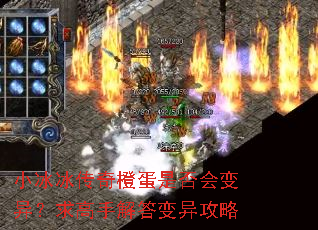 小冰冰传奇橙蛋是否会变异?求高手解答变异攻略 小冰冰传奇橙蛋是否会变异?求高手解答变异攻略