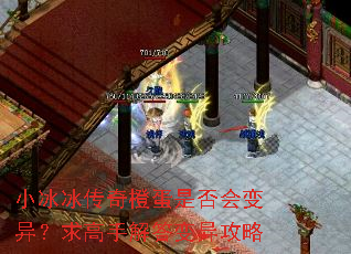 小冰冰传奇橙蛋是否会变异?求高手解答变异攻略 小冰冰传奇橙蛋是否会变异?求高手解答变异攻略