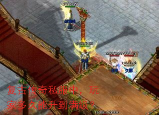 ���Ŵ���˽���У���Ҷ��������������
