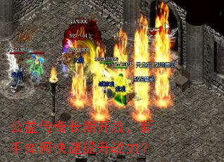 ���洫�泤�ڿ��ţ�������ο�������ս����