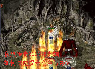 ��紫��2003�������ο���������ɫ�ȼ���