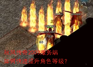 ��紫��2003�������ο���������ɫ�ȼ���