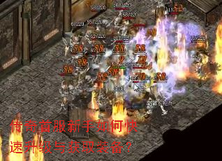 传奇首服新手如何快速升级与获取装备? 传奇首服新手如何快速升级与获取装备?