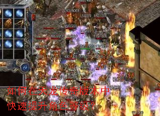 �������������汾�п���������ɫ�ȼ���