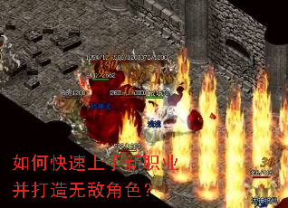 如何快速上手新职业并打造无敌角色? 如何快速上手新职业并打造无敌角色?