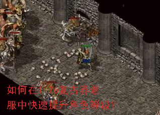 如何在1.76复古养老服中快速提升角色等级? 如何在1.76复古养老服中快速提升角色等级?