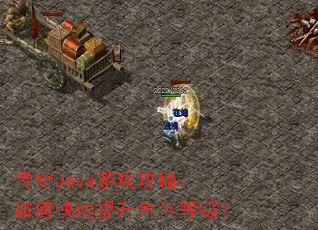 传奇Java游戏攻略:如何快速提升角色等级? 传奇Java游戏攻略:如何快速提升角色等级?
