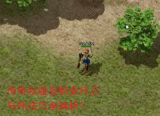 传奇私服各职业特点与PK技巧全解析? 传奇私服各职业特点与PK技巧全解析?